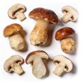 Pilze Steinpilze