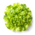Salat